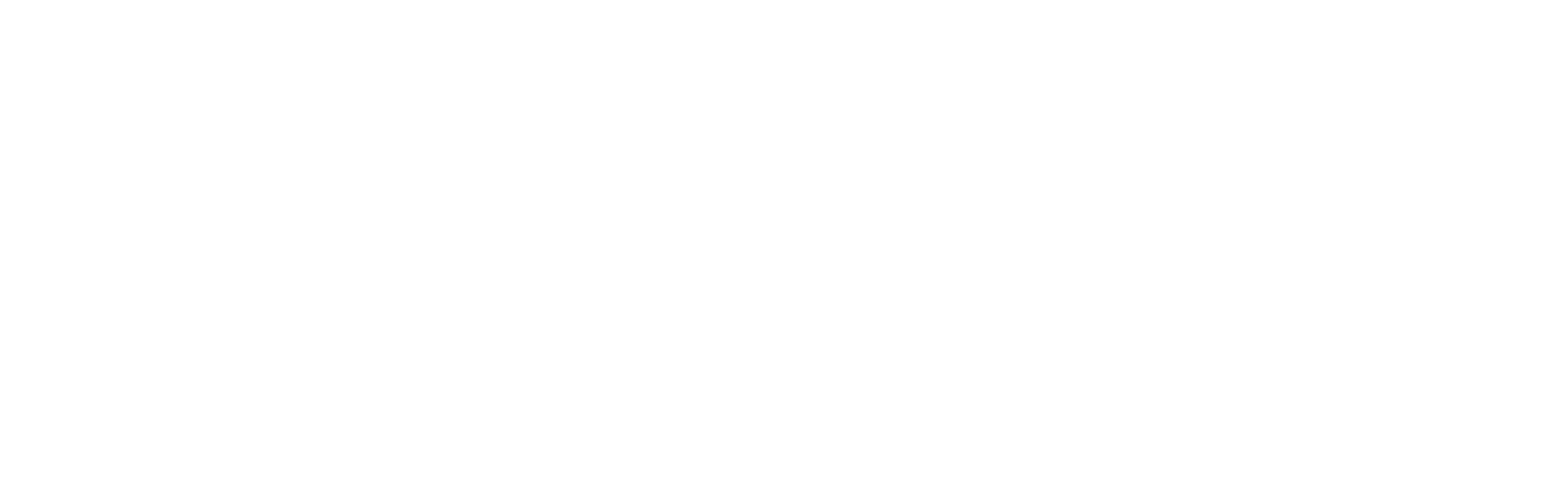 Prometheus SRL